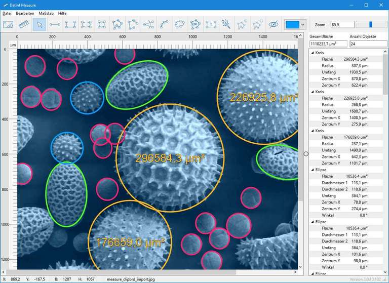 Screenshot Dat-inf Measure mit einer Aufnahme von einem Elektronenmikroskop